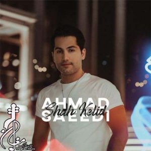 Ahmad Saeedi – Shah Kelid 300x300 - دانلود آهنگ جدید احمد سعیدی به نام شاه کلید