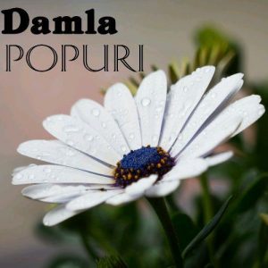 DamlaPopuri 300x300 - دانلود آهنگ جدید داملا به نام پوپوری