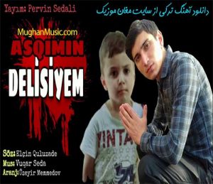 Elcin Quluzade Men Askimin Delisiyem 300x259 - دانلود آهنگ ترکی الکین قلوزاده به نام من عاشکیمین دلیسییم