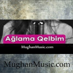 Sevinc Abidin Ağlama Qəlbim 300x300 - دانلود آهنگ ترکی سوینج عابدین به نام آغلاما کالبیم